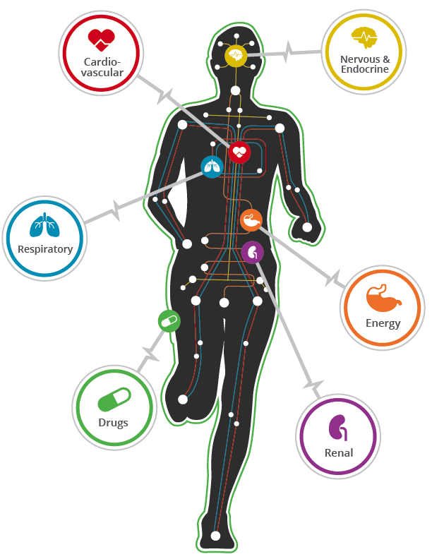 A cartoon outline of a person running has various physiological systems highlighted, including cardiovascular, nervous, endocrine, respiratory, energy, and renal.